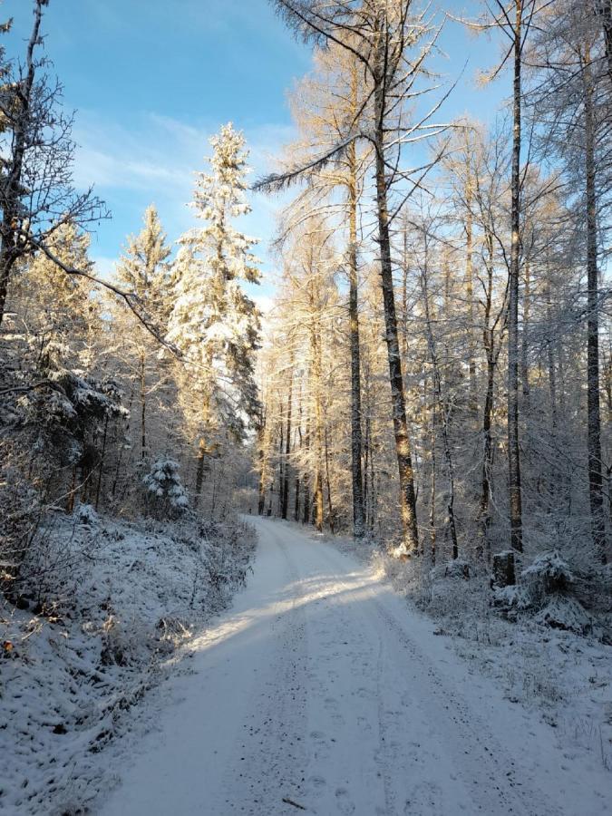 Fraenkische Linie - Radspitz-Ferienwohnungen Marktrodach المظهر الخارجي الصورة